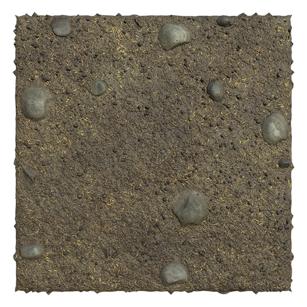 Wet Muddy Ground Texture with Fallen Leaves (Ground 0005) texture preview
