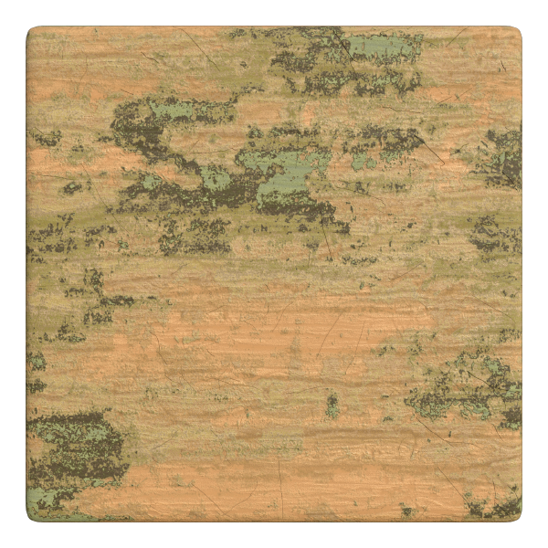 Wood Texture with Scratches and Mosses (Wood 0003) texture preview